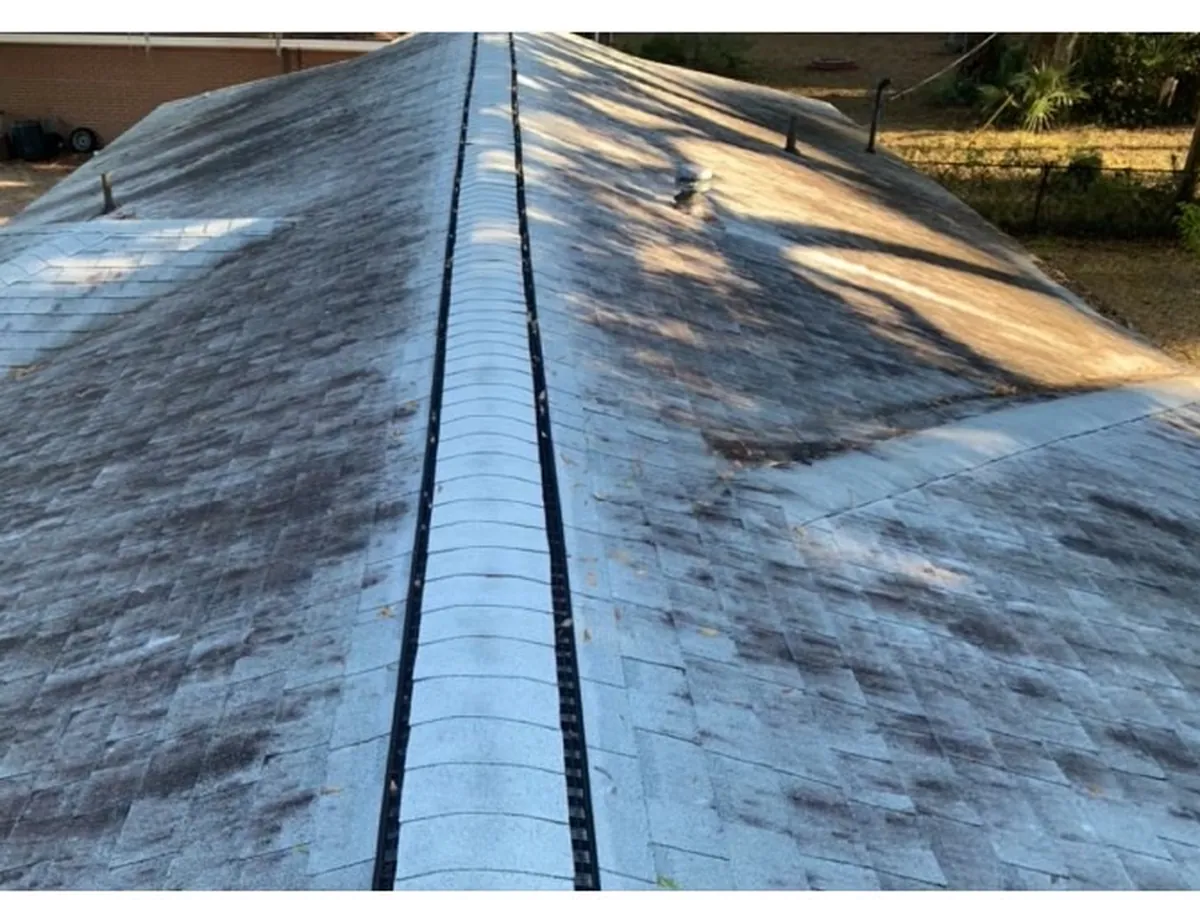 Moss- and algae-streaked asphalt shingle roof before soft-wash cleaning