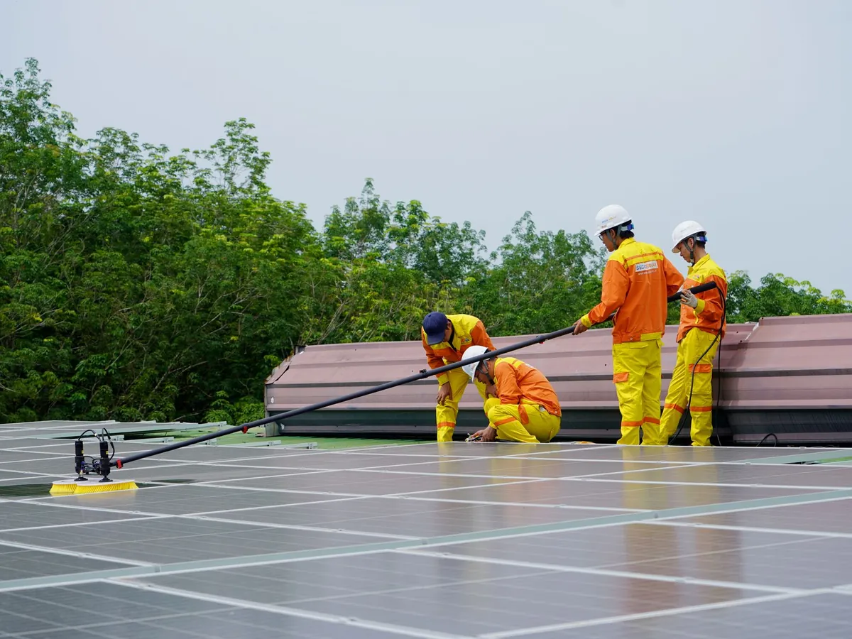 Dust- and pollen-covered solar panels before cleaning